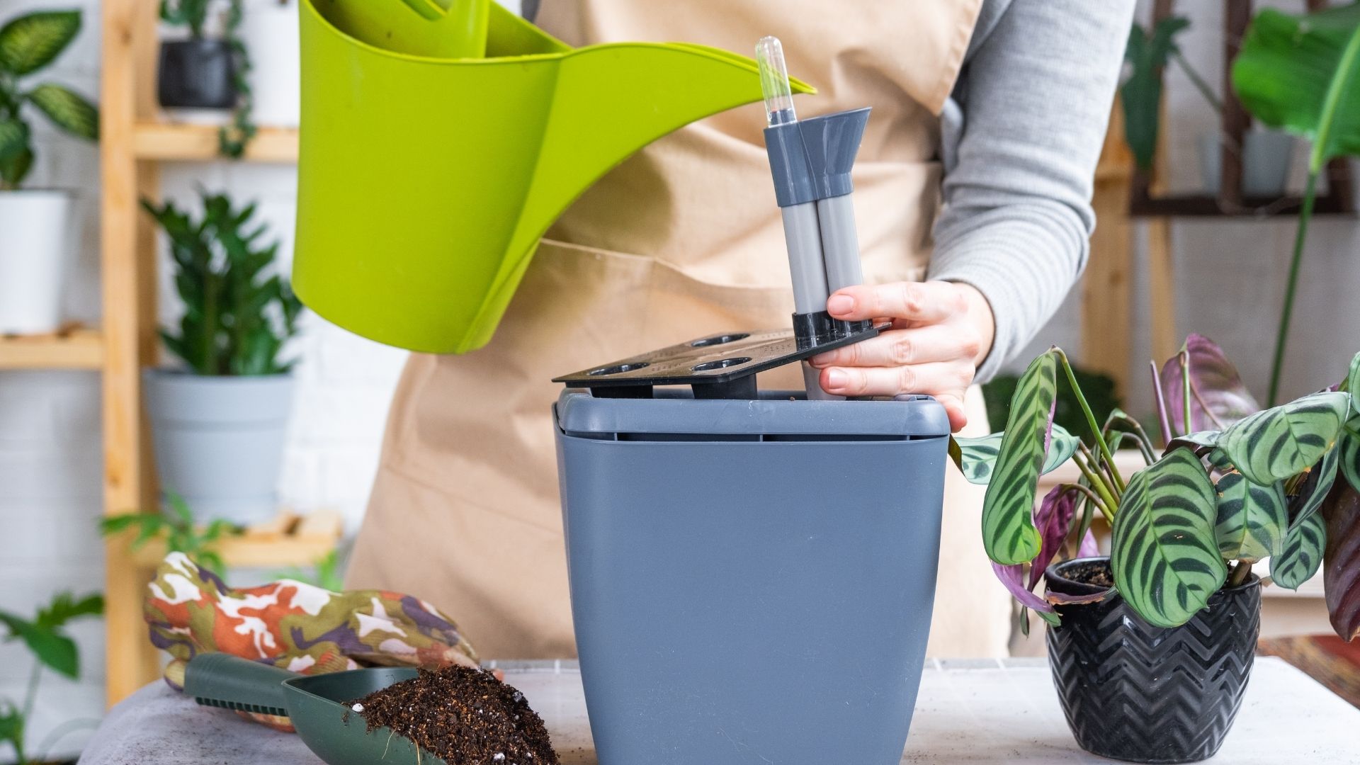 A flower pot being watered