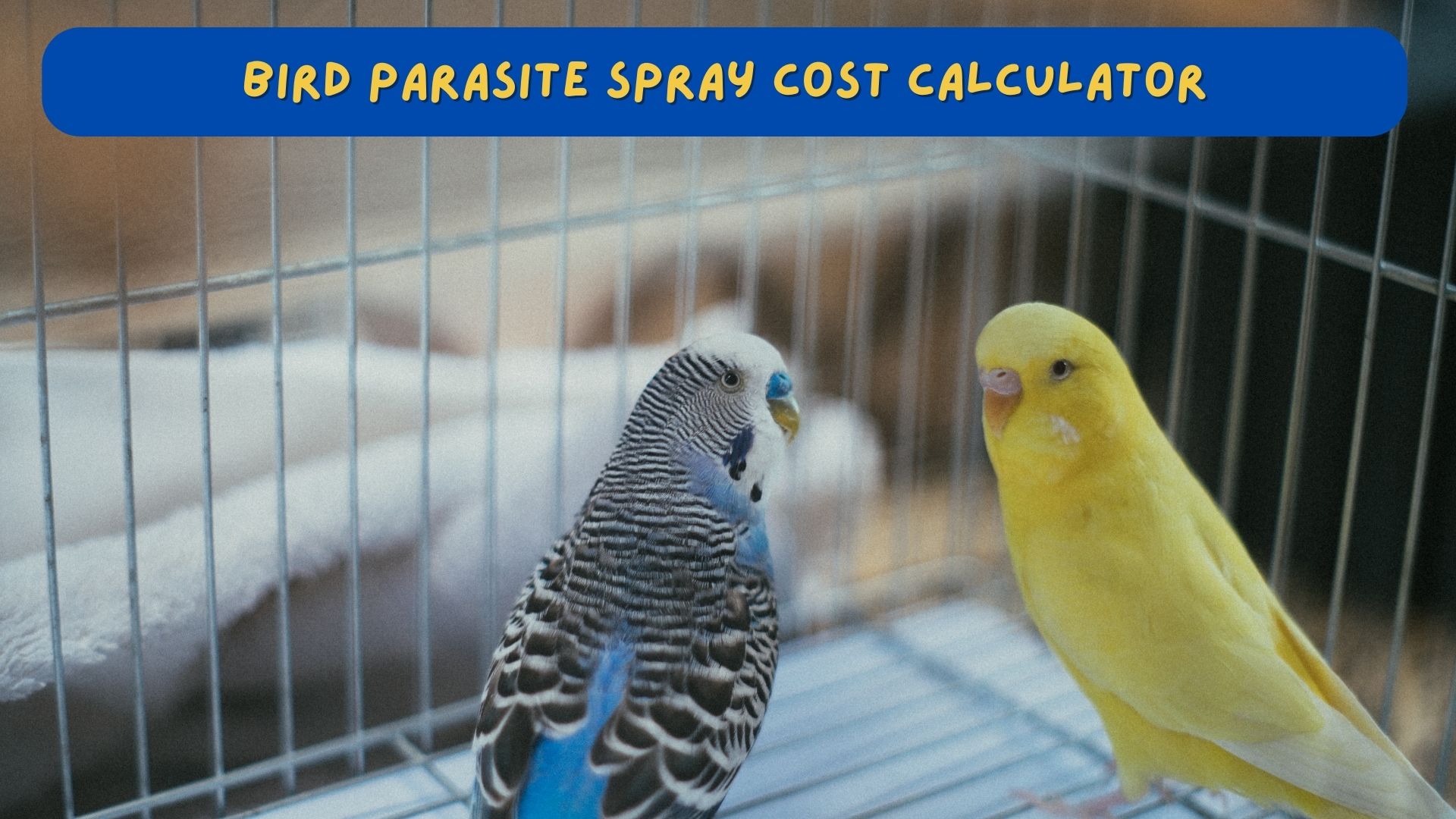 Bird Parasite Spray Cost Calculator