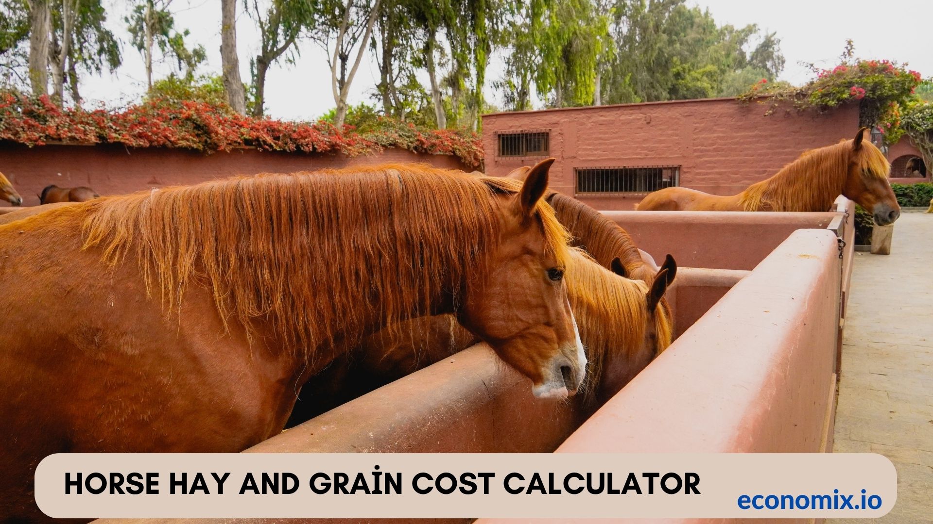 A horse being fed hay and grain