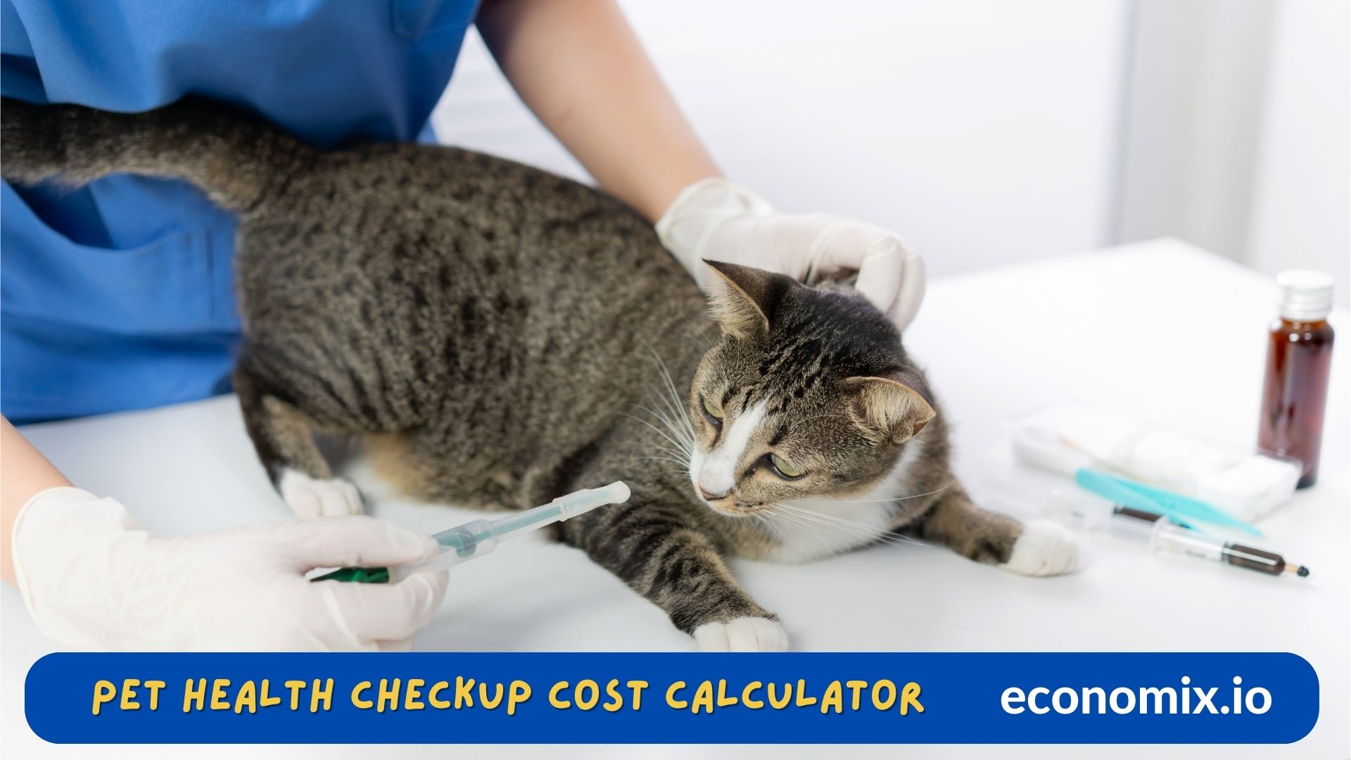 A pet owner and a veterinarian during a routine health checkup for a dog