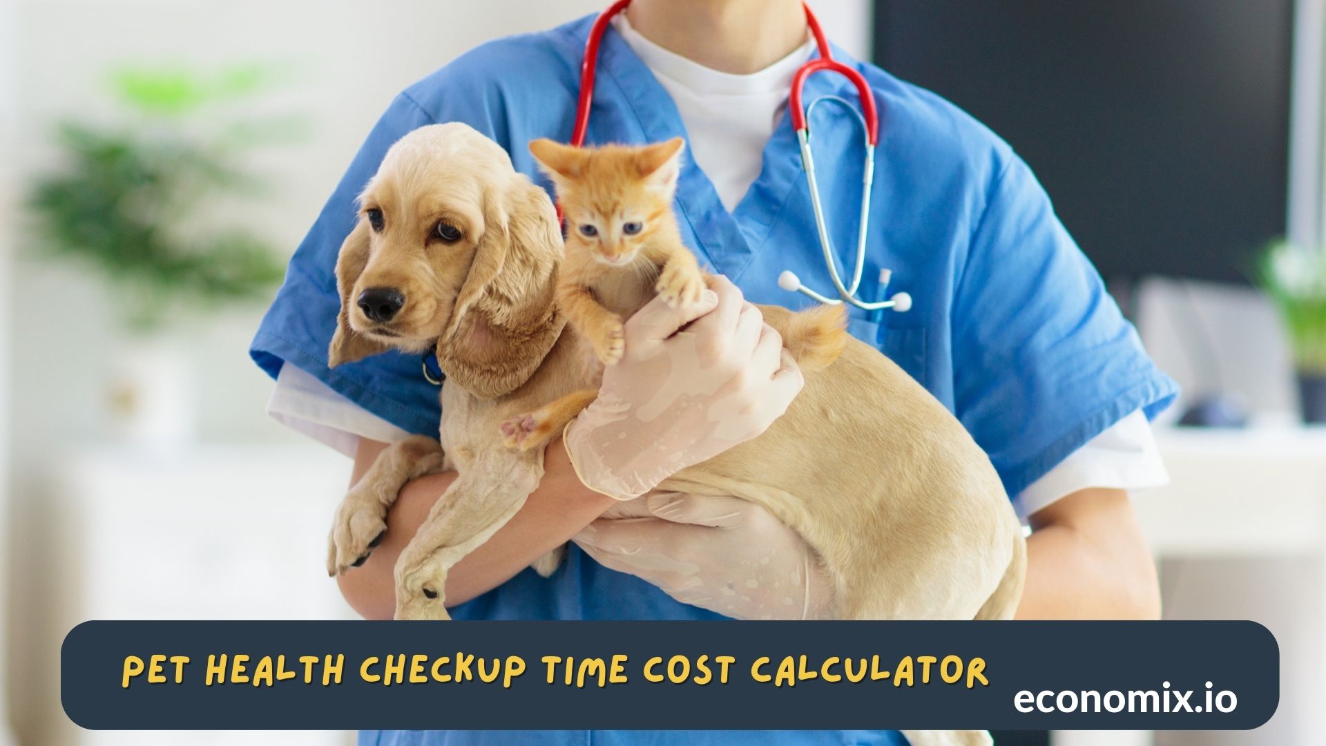 A pet owner discussing a health checkup plan with a veterinarian