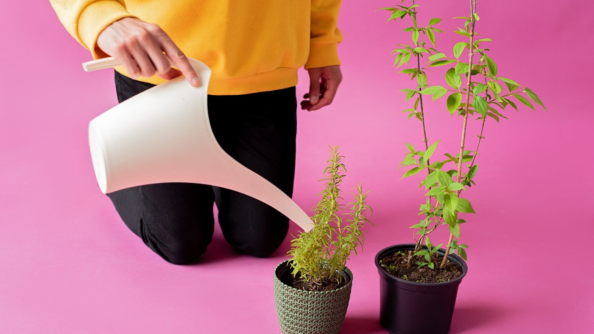 Flower Pot Watering Water Usage