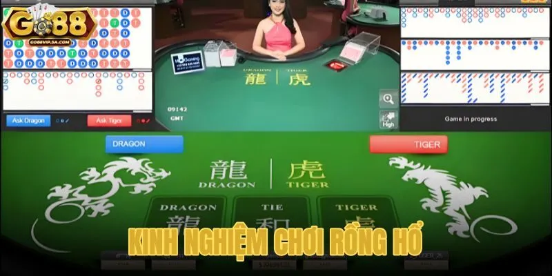 Kinh nghiệm chơi rồng hổ